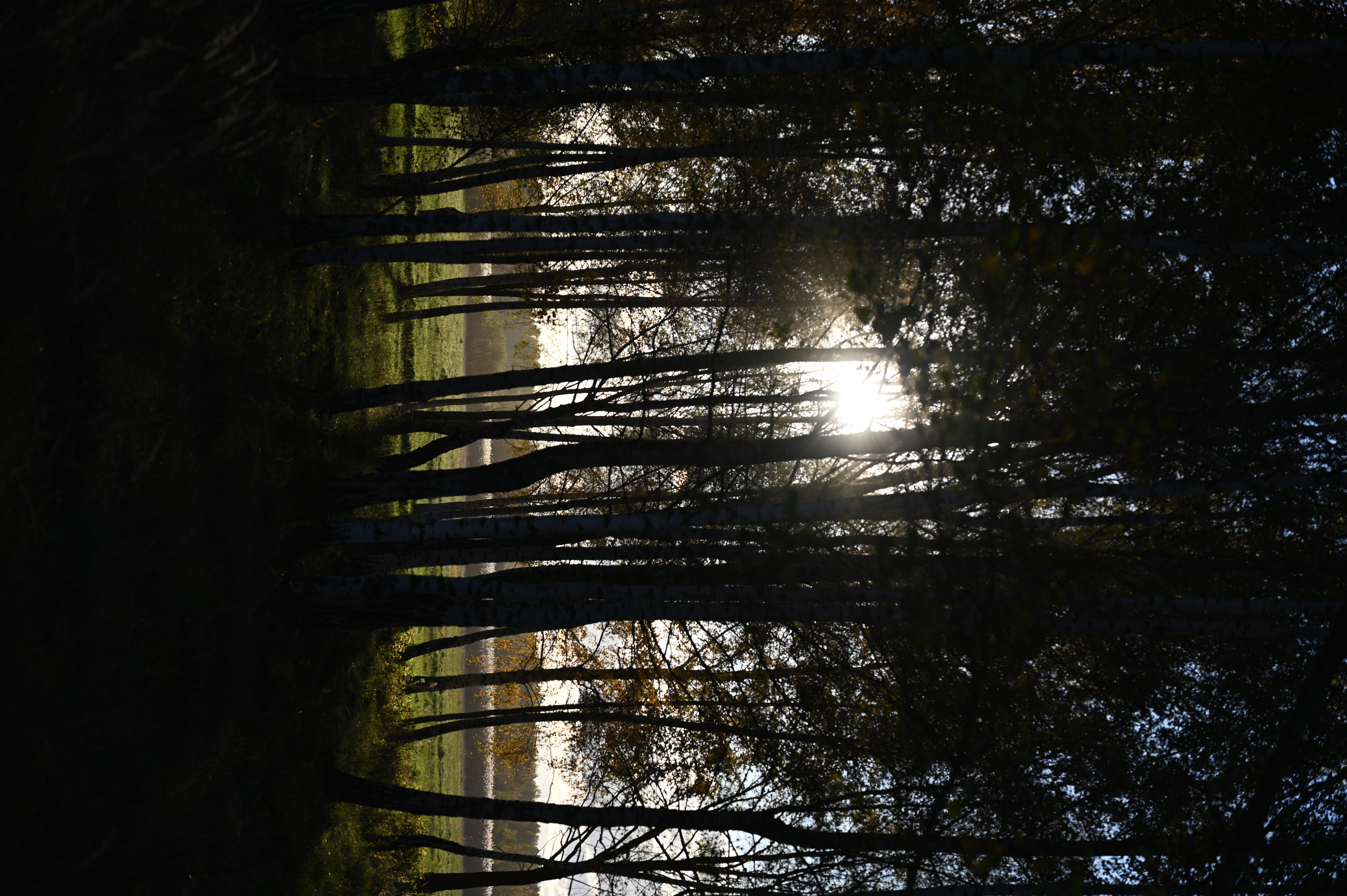 2025/10/18 - walk/DSC_0142.JPG